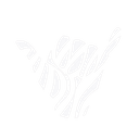 Likizovibes Logo