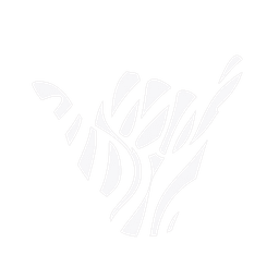Likizovibes Logo